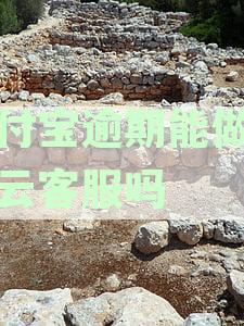 支付宝逾期后如何成为淘宝客服？解答用户关心的逾期处理及客服相关问题