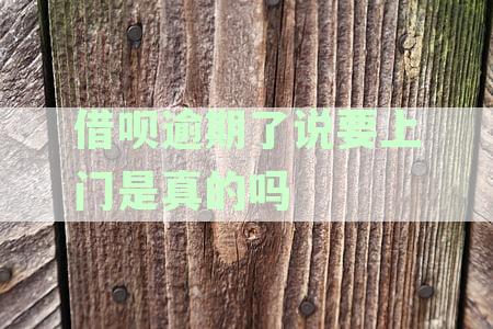 上门催收是否需要本人同意：解答关于债务追讨的法律和操作流程