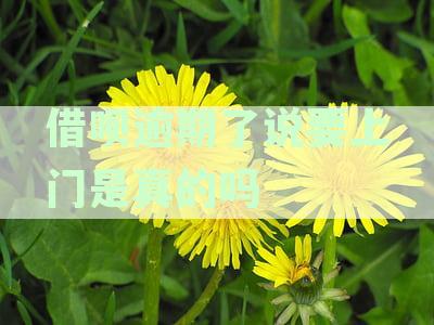 新借呗逾期还款问题解答：上门催收是真的吗？如何处理？
