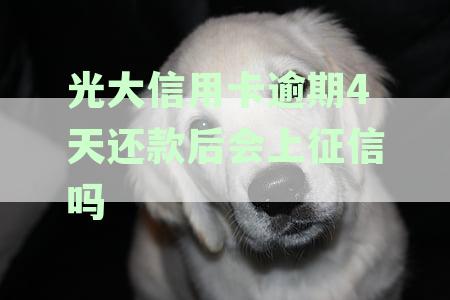 光大信用卡逾期四天后还款的信用影响及其征信修复策略