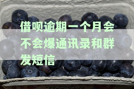 借呗逾期一个月后，是否会向户所在地发送催收信息？