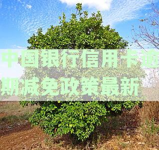 中国银行最新信用卡逾期减免政策解析与实细则