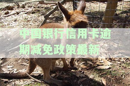 中国银行信用卡逾期减免政策全面解析：如何应对逾期、减免费用及期还款？