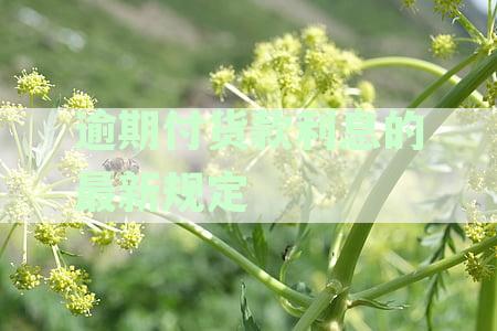 逾期付款利息计算全解析：如何准确估算逾期付款产生的费用及其计算方法
