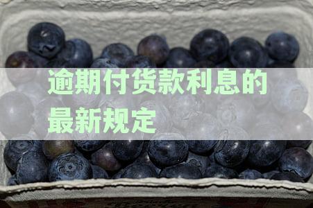 逾期支付货款利息的全面解析：最新法律规定和计算方法