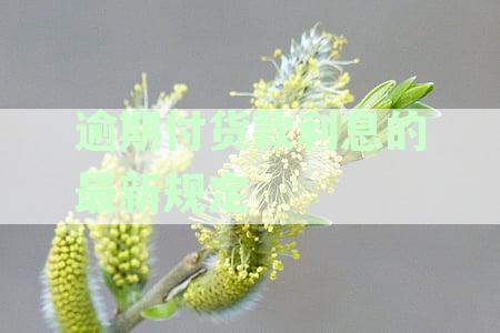全面了解货款逾期付款利息：计算方法、影响及解决方案