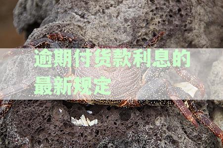 逾期付货款利息的最新规定