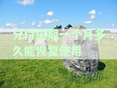 分付逾期停用恢复期解析：多久可以重新开通？具体操作步骤有哪些？
