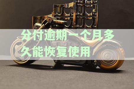分付逾期一个月后仍然可以使用吗？如何解决逾期支付的问题？