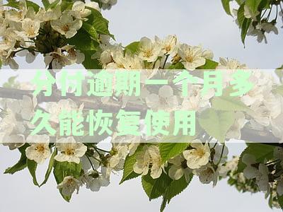 分付逾期后几天还款，是否可以继续使用？微信支付是否受限？