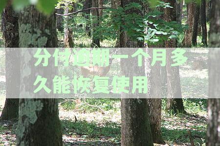 分付逾期一个月多久能恢复使用