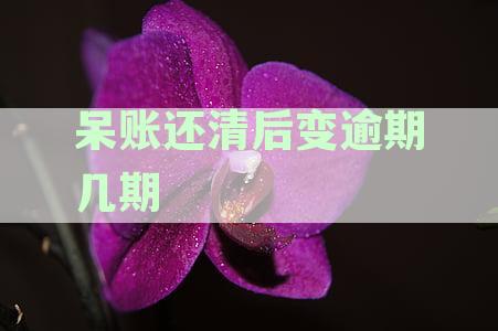 还清呆账后，逾期风险是否消除？如何避免信用受损？