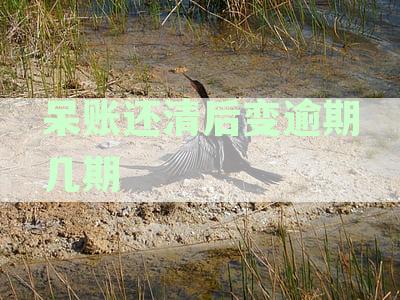 呆账还清后变逾期几期