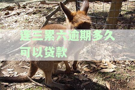贷款逾期连3累6是什么意思：解释银行贷款逾期次数的规定和影响