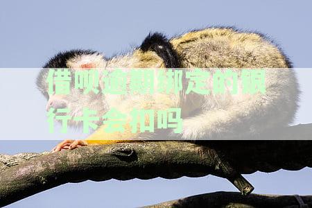 逾期还款的借呗款会从非绑定银行卡中扣除吗？还有哪些可能的扣款方式？