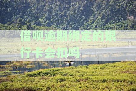 借呗逾期绑定新卡时里边钱会不会被秒扣：解答与分析