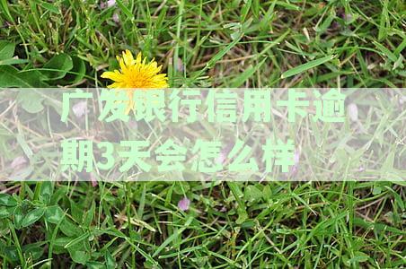 信用卡逾期3天后的潜在影响：发银行用户必读