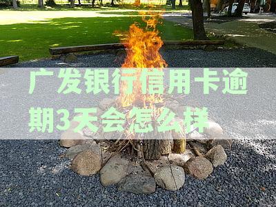发银行信用卡逾期二天对征信、房贷和贷款的影响：完整解答