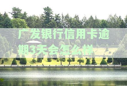 发逾期3天，现在要我全额还款，怎么办？