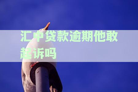 汇中贷款不还款的后果及应对策略：全面解析与解决方法