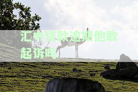 中信信贷逾期处理策略：逾期多久会上门催收？