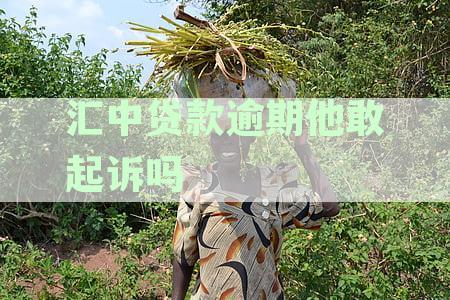 汇中贷逾期后紧急联系人何时会接到电话？逾期通知及处理流程全解析