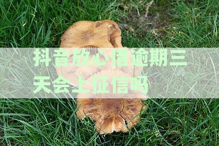 抖音放心借逾期几天上征信吗？会有影响吗？