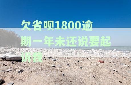 省呗欠款5000元，逾期半年是否会被起诉？如何避免法律纠纷？