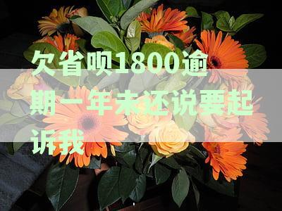 欠省呗1800逾期一年未还说要起诉我