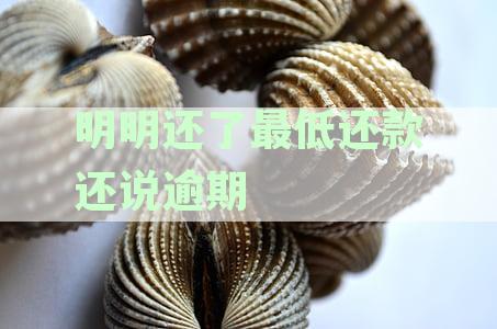 明明已还最低还款额，却被银行误认为逾期，该如何解决这个问题？