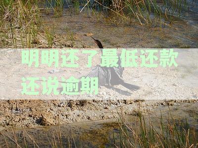 信用卡最低还款后仍提示还款原因探究及解决方法