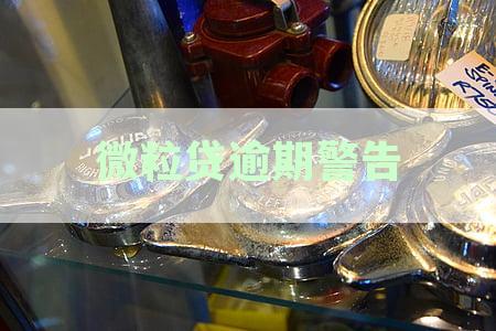 关于微粒贷逾期警告短信的真假鉴别，你了解多少？