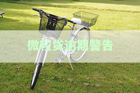 微粒贷逾期警告起诉应对策略：如何避免法律纠纷与信用损失？