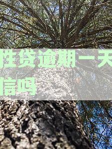任性贷逾期一天会产生什么影响？如何避免逾期问题？