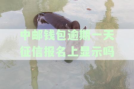 中邮钱包逾期一天后贷款是否受限？如何解决逾期问题以继续获得贷款？