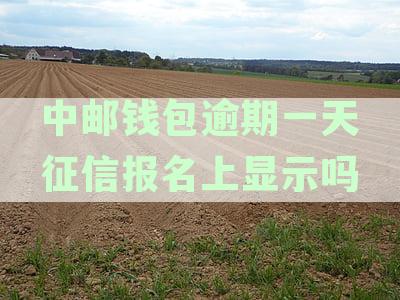 中邮钱包逾期是否影响邮政信用卡使用额度