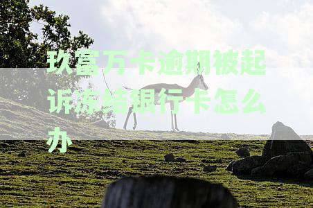 玖富万卡逾期被起诉并冻结银行卡，应该如何应对和解决？