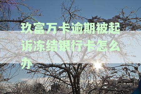 玖富万卡起诉了怎么办：法院受理、成功案例及程序耗时全解析