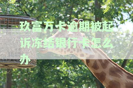 玖富万卡逾期未还款可能导致账户冻结吗？如何避免银行账户被冻结？