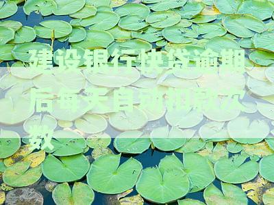建设银行快贷逾期后每天自动扣款次数怎么办？如何办理？
