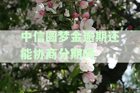 中信圆梦金逾期还能协商分期吗