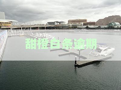 甜橙白条逾期还款协商攻略：如何解决逾期问题？