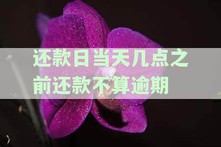 '信用卡还款日当天几点之前还款不算逾期：农业银行、工商银行、建设银行'