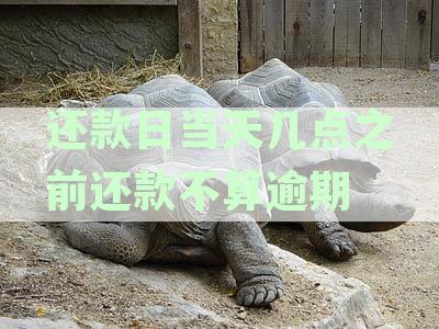 建行信用卡还款日时间节点：还款当天几点之前不算逾期？