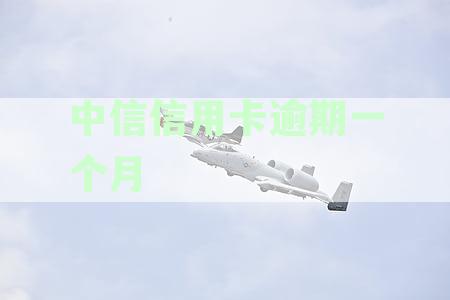 中信信用卡逾期一个月后的起诉可能性及应对策略，真的会起诉吗？