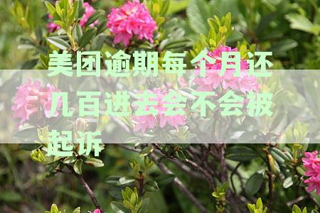 美团逾期还款的后果与处理方式，每月还几百是否会被起诉？