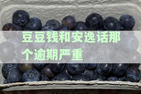 豆豆钱和安逸话那个逾期严重