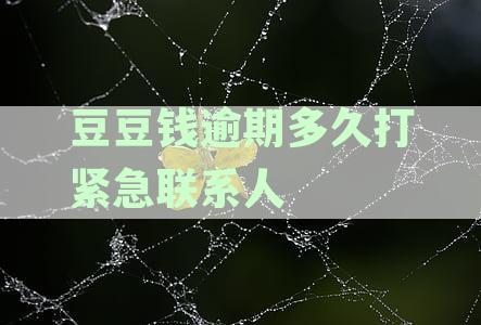 豆豆钱逾期多久会打紧急联系人电话：探讨逾期几天、6天和三天的情况