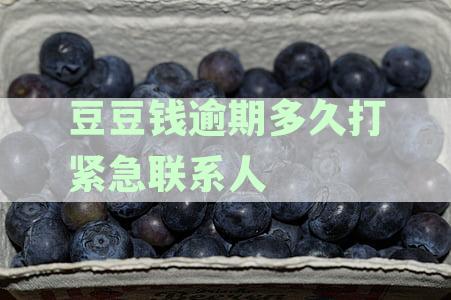 豆豆钱逾期6天后的处理方式：是否会联系紧急联系人并如何避免？