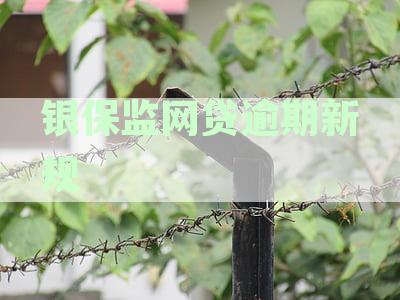 银保监网贷逾期新规详解：定义、影响与应对策略